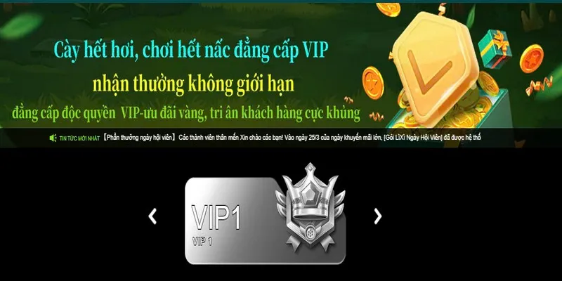 Quy định về việc thăng cấp VIP tại nhà cái 69VN